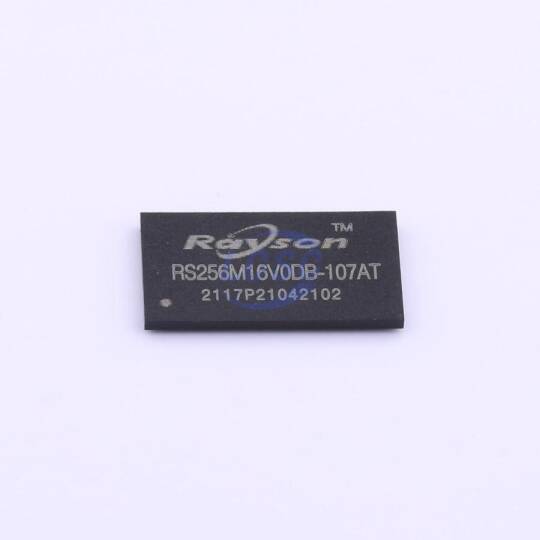 Rayson RS256M16V0DB-107AT - 3