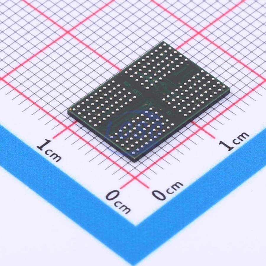Rayson RS256M32LZ4D2BNP-62BT - 2