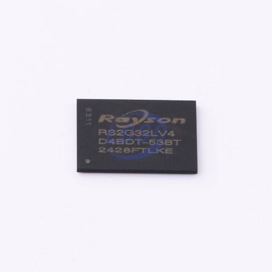 Rayson RS2G32LV4D4BDT-53BT - 3