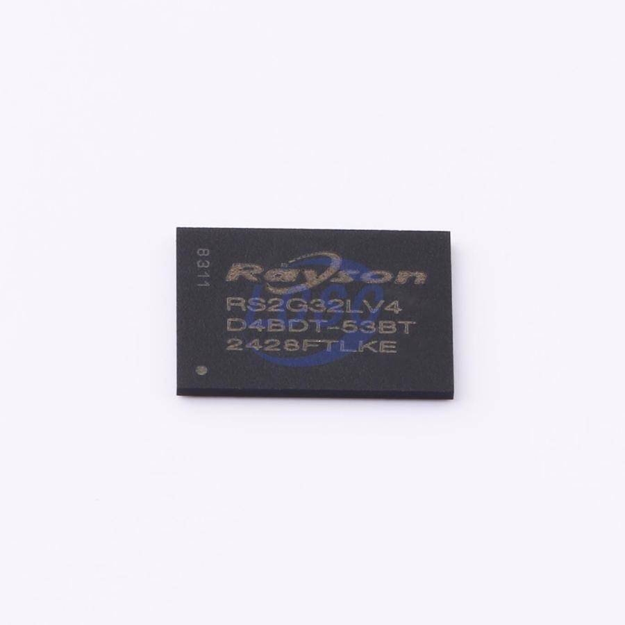 Rayson RS2G32LV4D4BDT-53BT - 3
