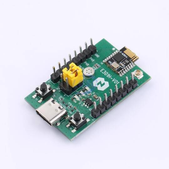 Ru Bo Microelectronics E301H - 3