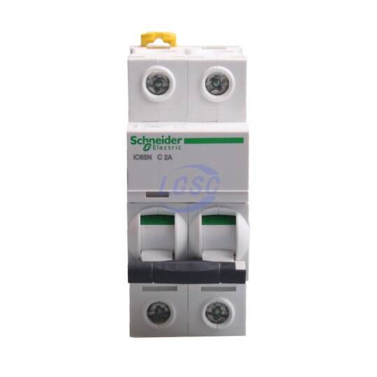 Schneider A9F18202