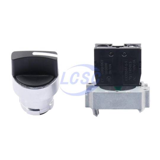Schneider XB2BD21C