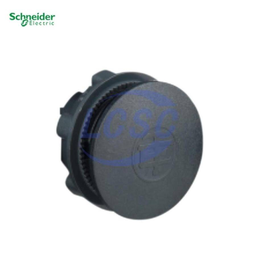 Schneider ZB2SZ3 - 1