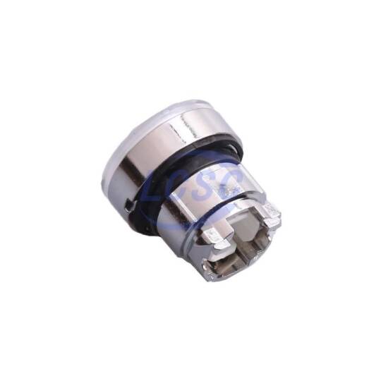 Schneider ZB4BH013 - 3