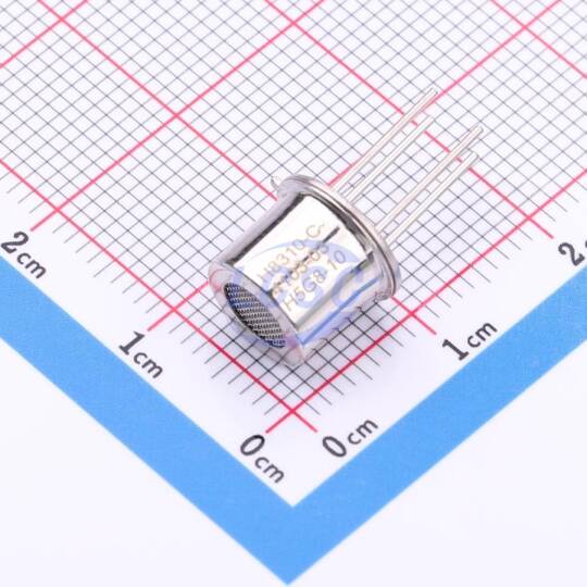Sensor Element GMH8310 - 4