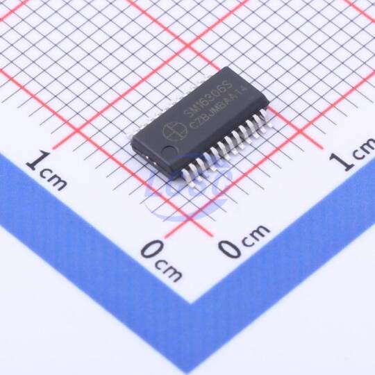 Shenzhen Sunmoon Micro SM16306SJ