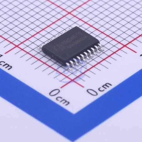 Shenzhen Sunmoon Micro SM245TS