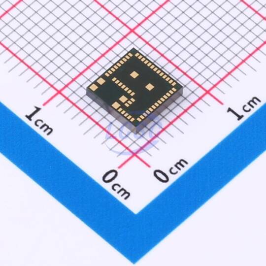 SILICON LABS BGM11S12F256GA-V2R - 2