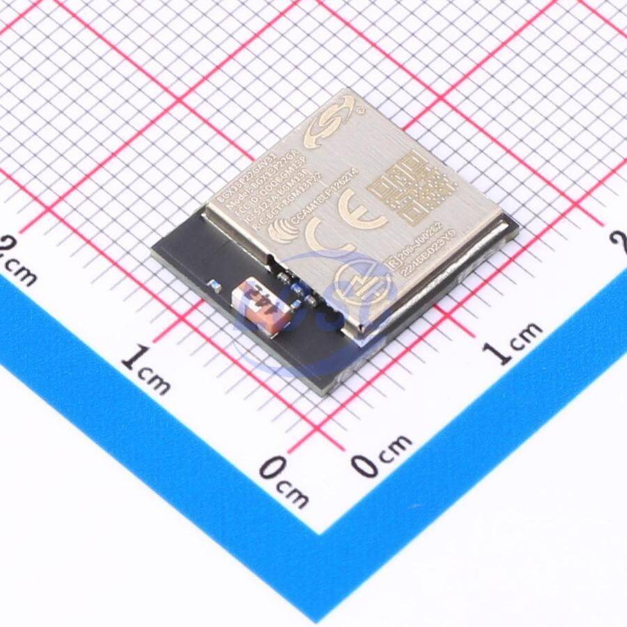 SILICON LABS BGX13P22GA-V31 - 1