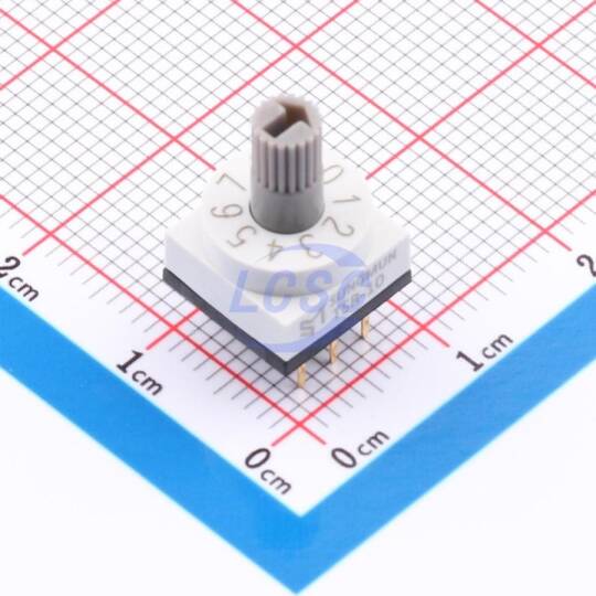 SUNGMUN TSR-10(LG) - 2