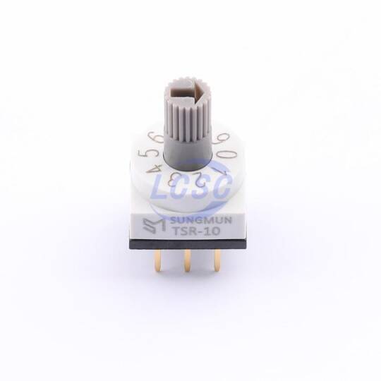 SUNGMUN TSR-10(LG) - 3