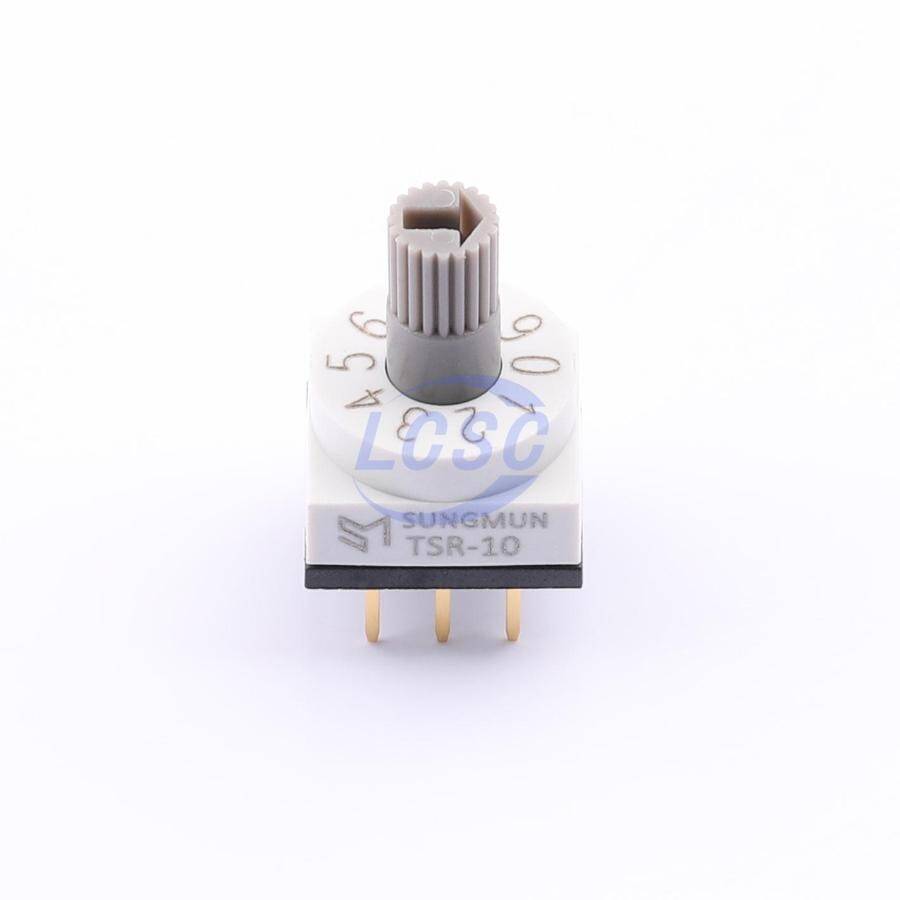 SUNGMUN TSR-10(LG) - 3