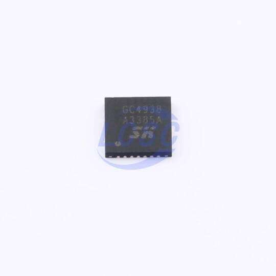 SX-globalchip GC4938 - 3