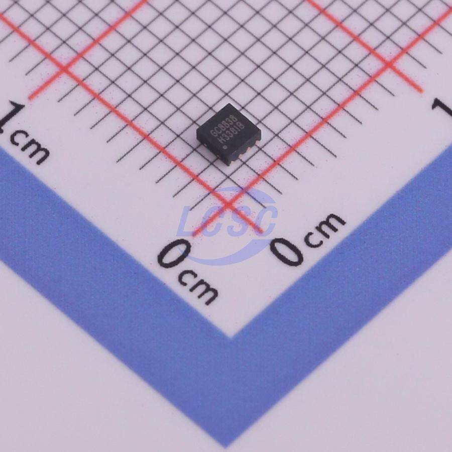 SX-globalchip GC8838 - 1