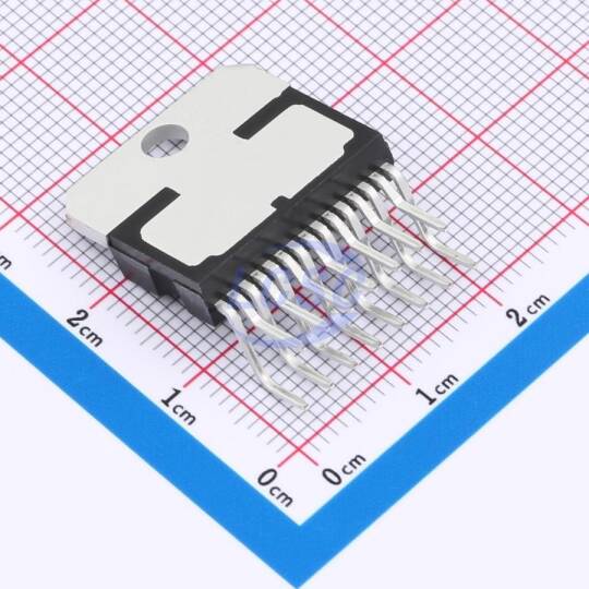 TDSEMIC L298(ZIP15)-TD - 2