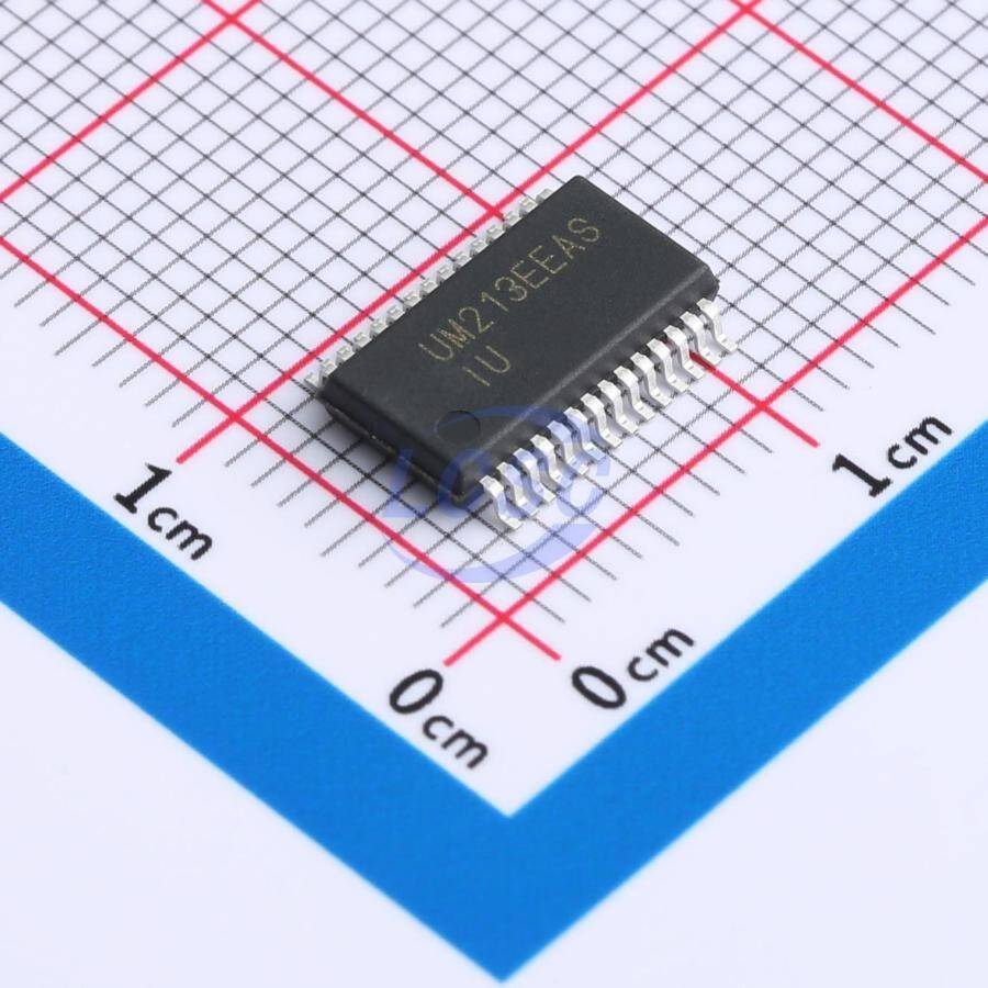 Union Semiconductor UM213EEASR - 1