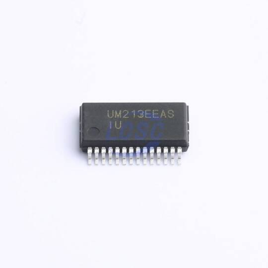 Union Semiconductor UM213EEASR - 3