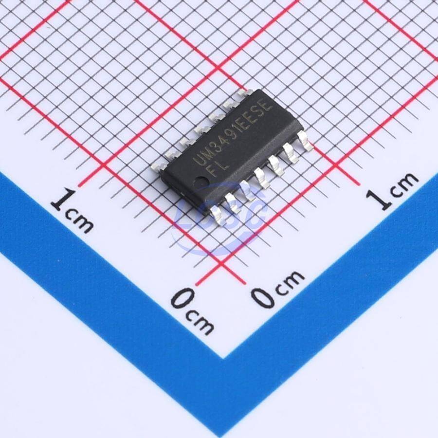 Union Semiconductor UM3491EESE - 1
