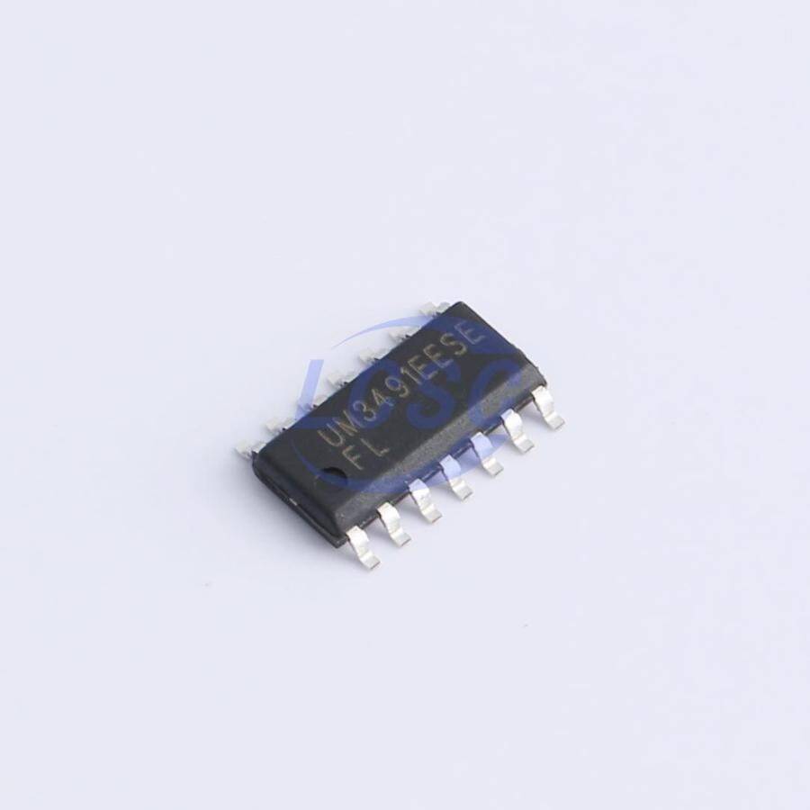 Union Semiconductor UM3491EESE - 3
