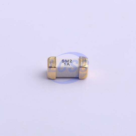 Walter Elec 2410F 1A 250V - 3