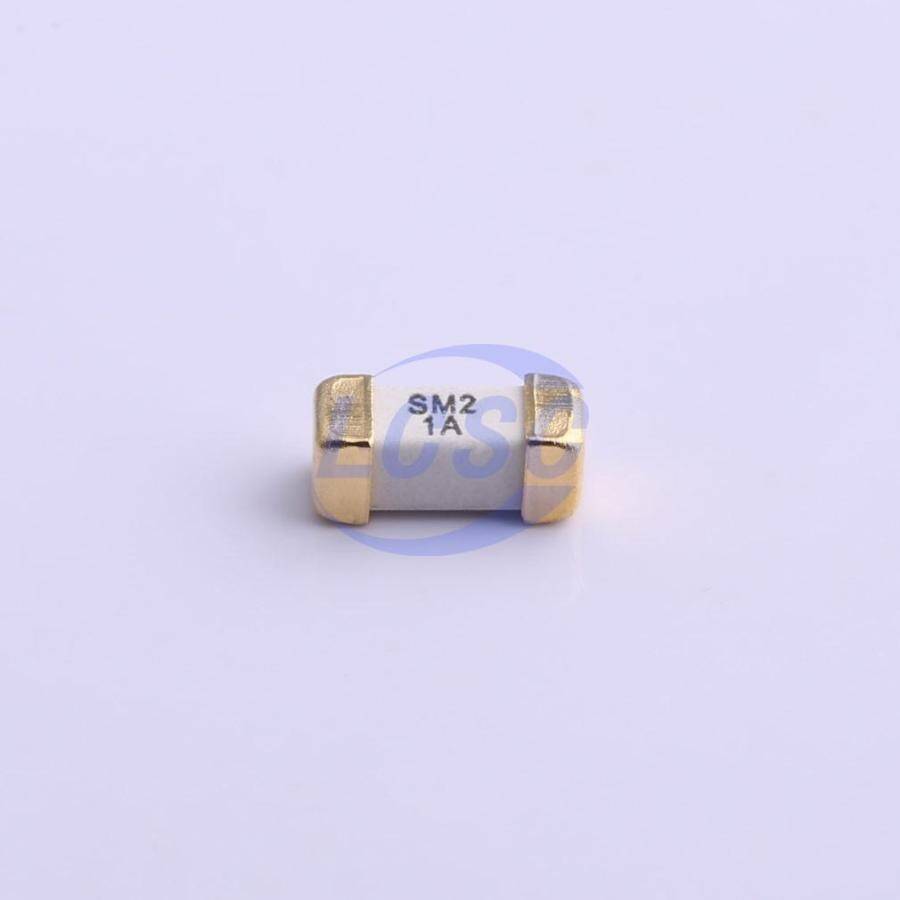 Walter Elec 2410F 1A 250V - 3