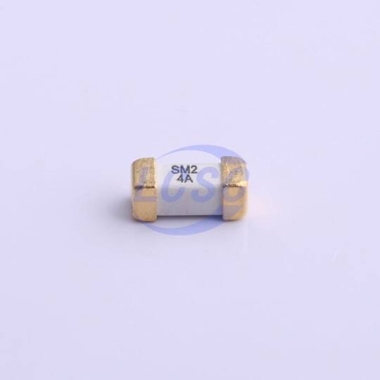 Walter Elec 2410F 4A 250V - 3