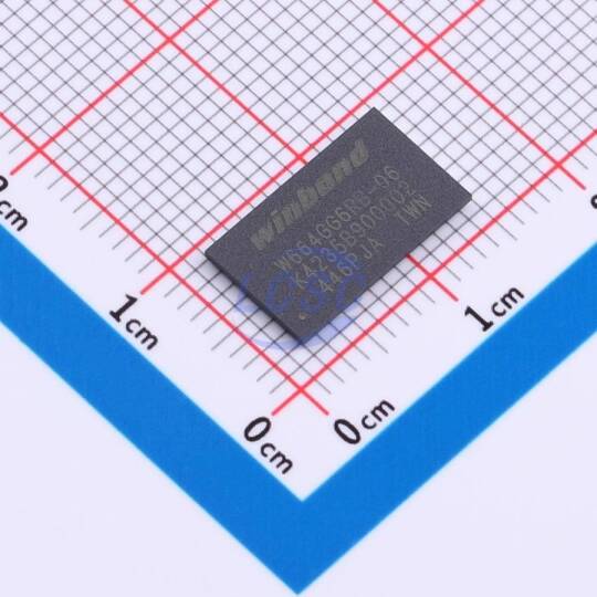 Winbond W664GG6RB-06
