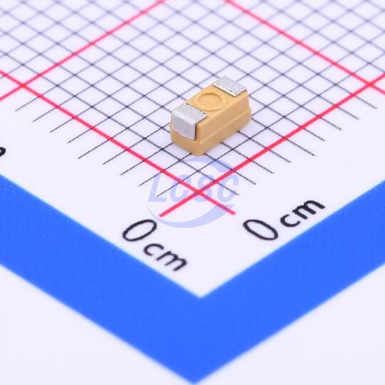 XY(Zhenhua XinYun) CA45-A-10V-22uF-M - 2
