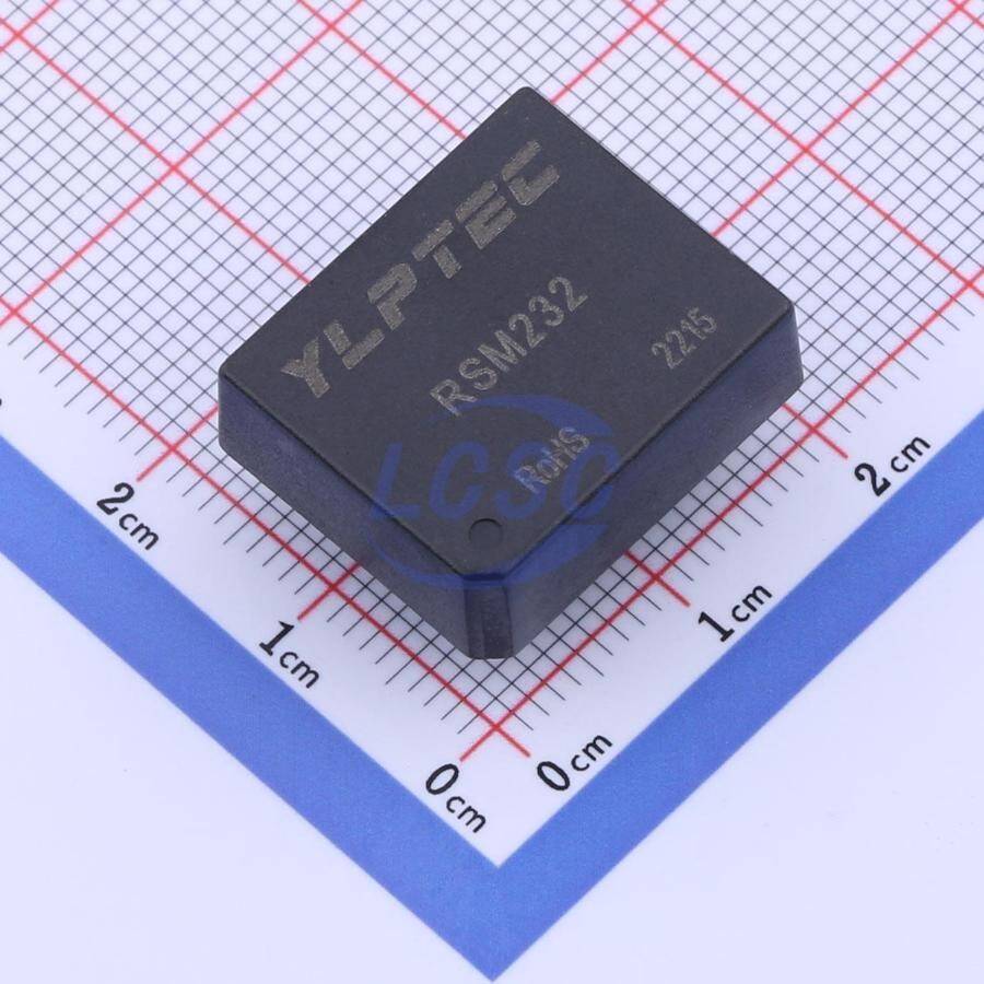 YLPTEC RSM232 - 1